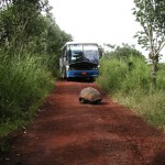 Die Galapagos-Inseln haben den ersten „grünen“ Flughafen der Welt